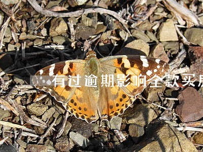 有过逾期影响全款买房吗 有过逾期影响全款买房吗