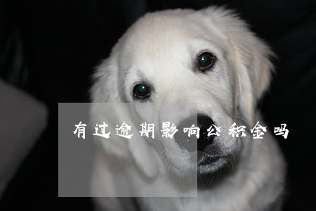 有过逾期影响公积金吗 有过逾期影响公积金吗