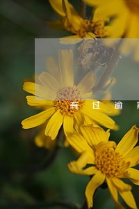 有过逾期征信会恢复吗 有过逾期征信会恢复吗