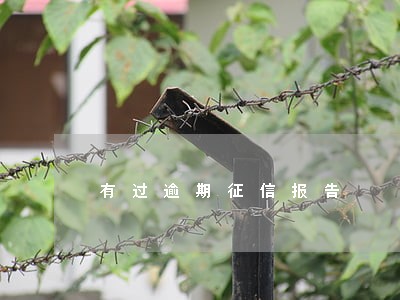 有过逾期征信报告 有过逾期征信报告