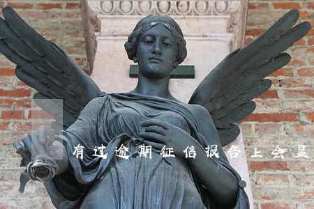 有过逾期征信报告上会显示么 有过逾期征信报告上会显示么