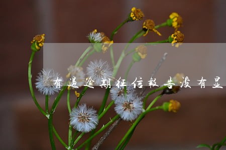 有过逾期征信报告没有显示 有过逾期征信报告没有显示