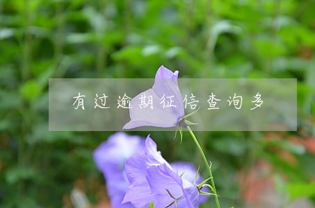 有过逾期征信查询多 有过逾期征信查询多