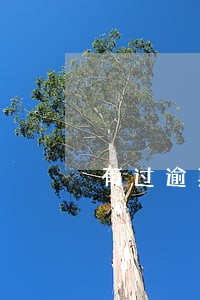 有过逾期征信花了去哪里贷款 有过逾期征信花了去哪里贷款