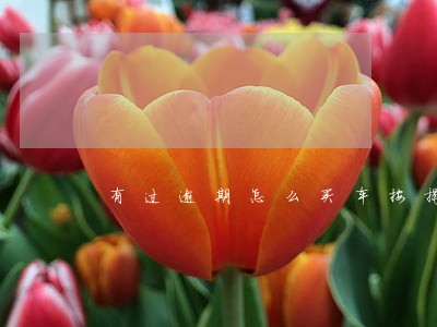 有过逾期怎么买车按揭 有过逾期怎么买车按揭
