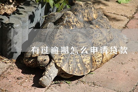 有过逾期怎么申请贷款 有过逾期怎么申请贷款