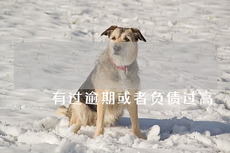有过逾期或者负债过高 有过逾期或者负债过高