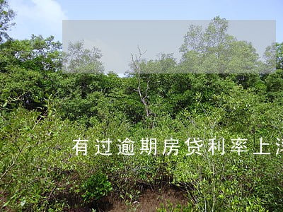 有过逾期房贷利率上浮 有过逾期房贷利率上浮