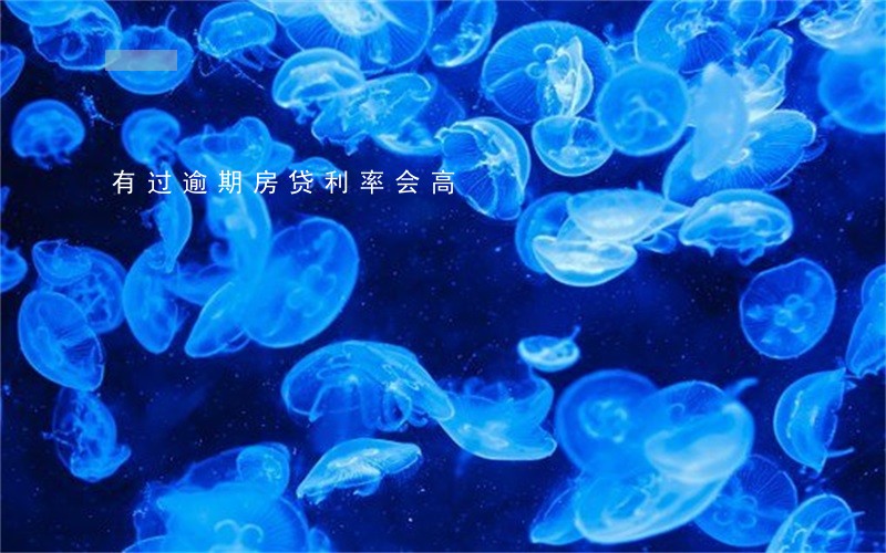 有过逾期房贷利率会高 有过逾期房贷利率会高