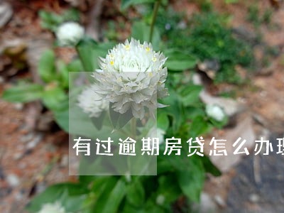 有过逾期房贷怎么办理 有过逾期房贷怎么办理