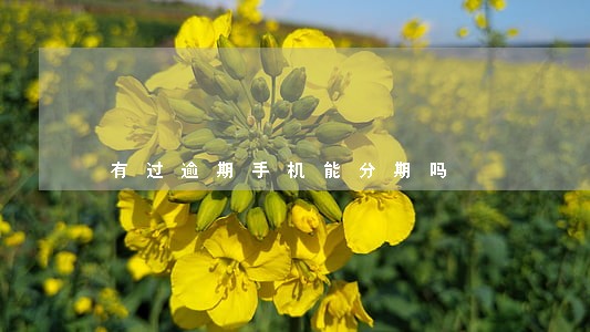 有过逾期手机能分期吗 有过逾期手机能分期吗