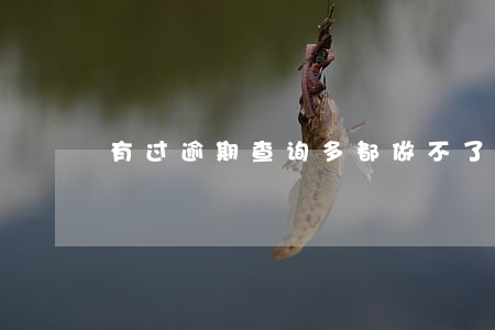 有过逾期查询多都做不了信贷吗 有过逾期查询多都做不了信贷吗
