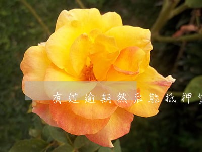 有过逾期然后能抵押贷么 有过逾期然后能抵押贷么