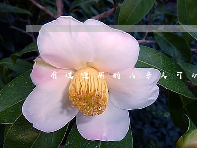 有过逾期的人多久可以买房 有过逾期的人多久可以买房