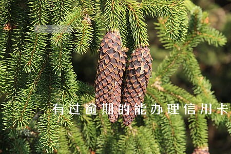 有过逾期的能办理信用卡吗 有过逾期的能办理信用卡吗