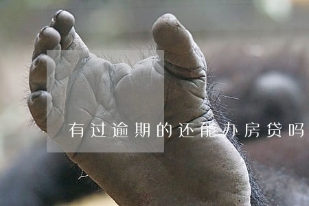 有过逾期的还能办房贷吗 有过逾期的还能办房贷吗