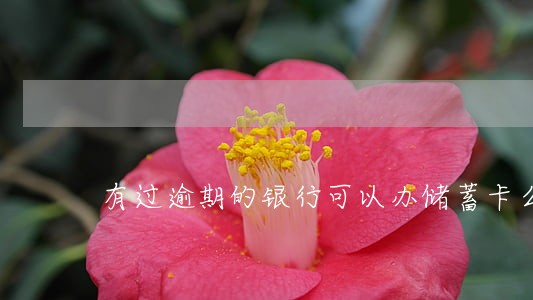 有过逾期的银行可以办储蓄卡么 有过逾期的银行可以办储蓄卡么