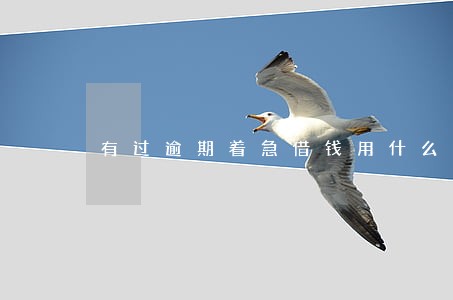 有过逾期着急借钱用什么软件 有过逾期着急借钱用什么软件