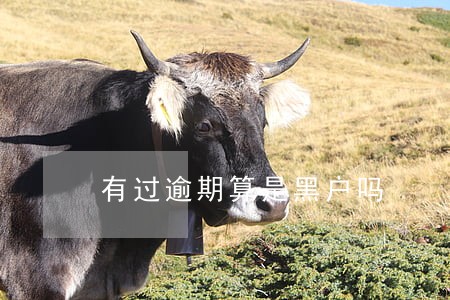 有过逾期算是黑户吗 有过逾期算是黑户吗