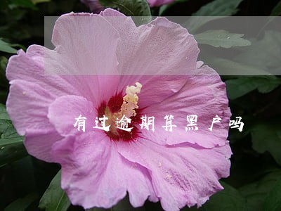 有过逾期算黑户吗 有过逾期算黑户吗