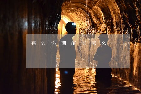 有过逾期能买房么 有过逾期能买房么