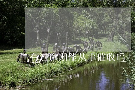 有过逾期能从事催收吗 有过逾期能从事催收吗