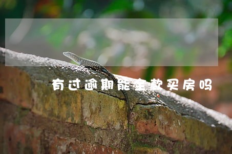 有过逾期能全款买房吗