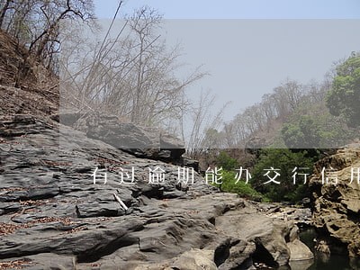 有过逾期能办交行信用卡吗