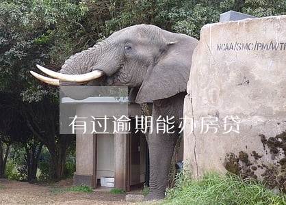 有过逾期能办房贷
