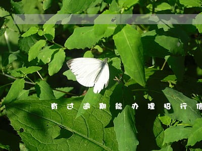 有过逾期能办理招行信用卡吗 有过逾期能办理招行信用卡吗