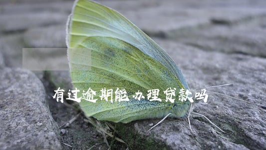有过逾期能办理贷款吗 有过逾期能办理贷款吗