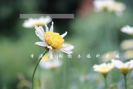 有过逾期能办银行卡吗 有过逾期能办银行卡吗