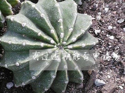 有过逾期能否申请房产二次贷 有过逾期能否申请房产二次贷