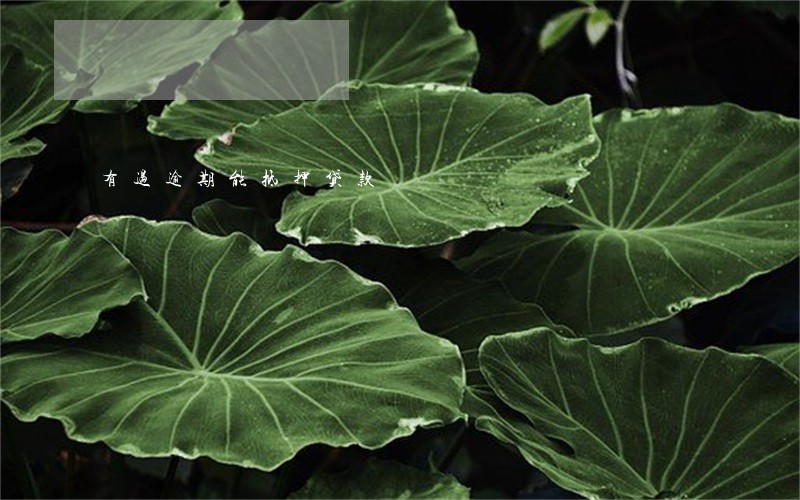 有过逾期能抵押贷款 有过逾期能抵押贷款