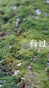 有过逾期能申请任性贷吗 有过逾期能申请任性贷吗