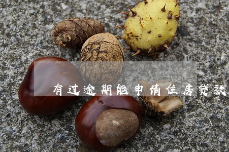 有过逾期能申请住房贷款吗