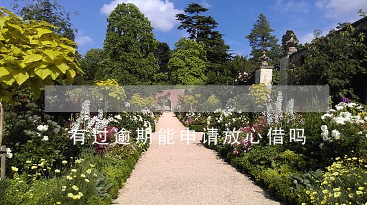 有过逾期能申请放心借吗 有过逾期能申请放心借吗