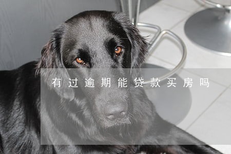 有过逾期能贷款买房吗 有过逾期能贷款买房吗
