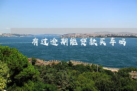 有过逾期能贷款买车吗 有过逾期能贷款买车吗