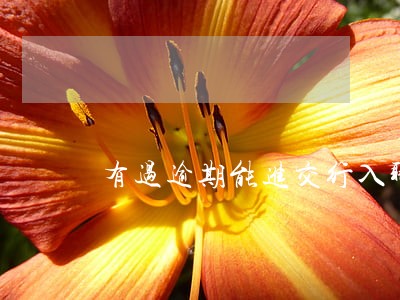 有过逾期能进交行入职 有过逾期能进交行入职