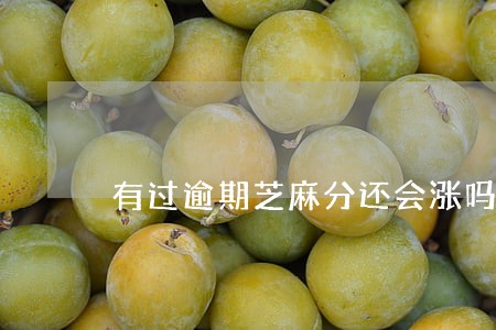 有过逾期芝麻分还会涨吗 有过逾期芝麻分还会涨吗