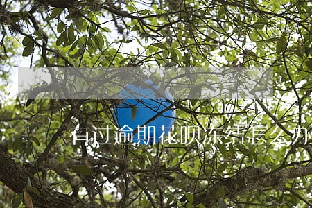 有过逾期花呗冻结怎么办 有过逾期花呗冻结怎么办