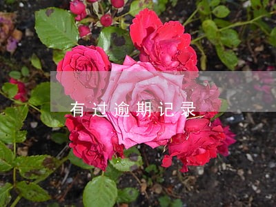 有过逾期记录 有过逾期记录