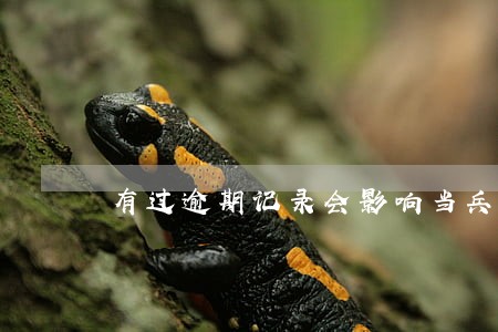 有过逾期记录会影响当兵政审吗 有过逾期记录会影响当兵政审吗