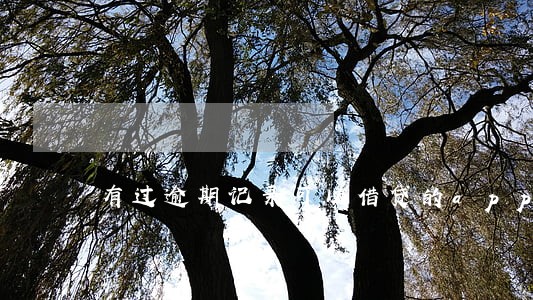 有过逾期记录可以借贷的app 有过逾期记录可以借贷的app