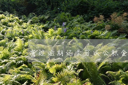 有过逾期记录可以公积金贷款吗 有过逾期记录可以公积金贷款吗