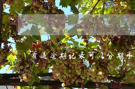 有过逾期记录可以分期手机吗 有过逾期记录可以分期手机吗