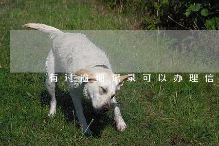 有过逾期记录可以办理信用卡吗 有过逾期记录可以办理信用卡吗