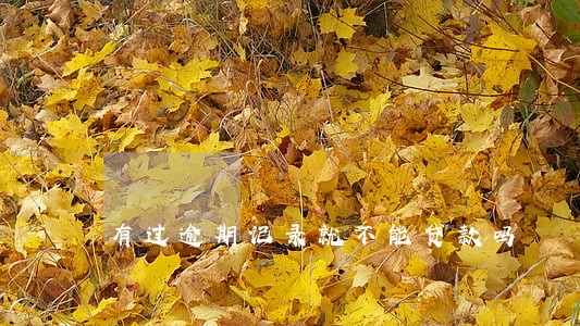 有过逾期记录就不能贷款吗 有过逾期记录就不能贷款吗