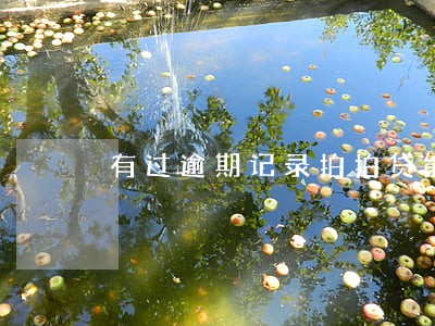 有过逾期记录拍拍贷能借吗 有过逾期记录拍拍贷能借吗